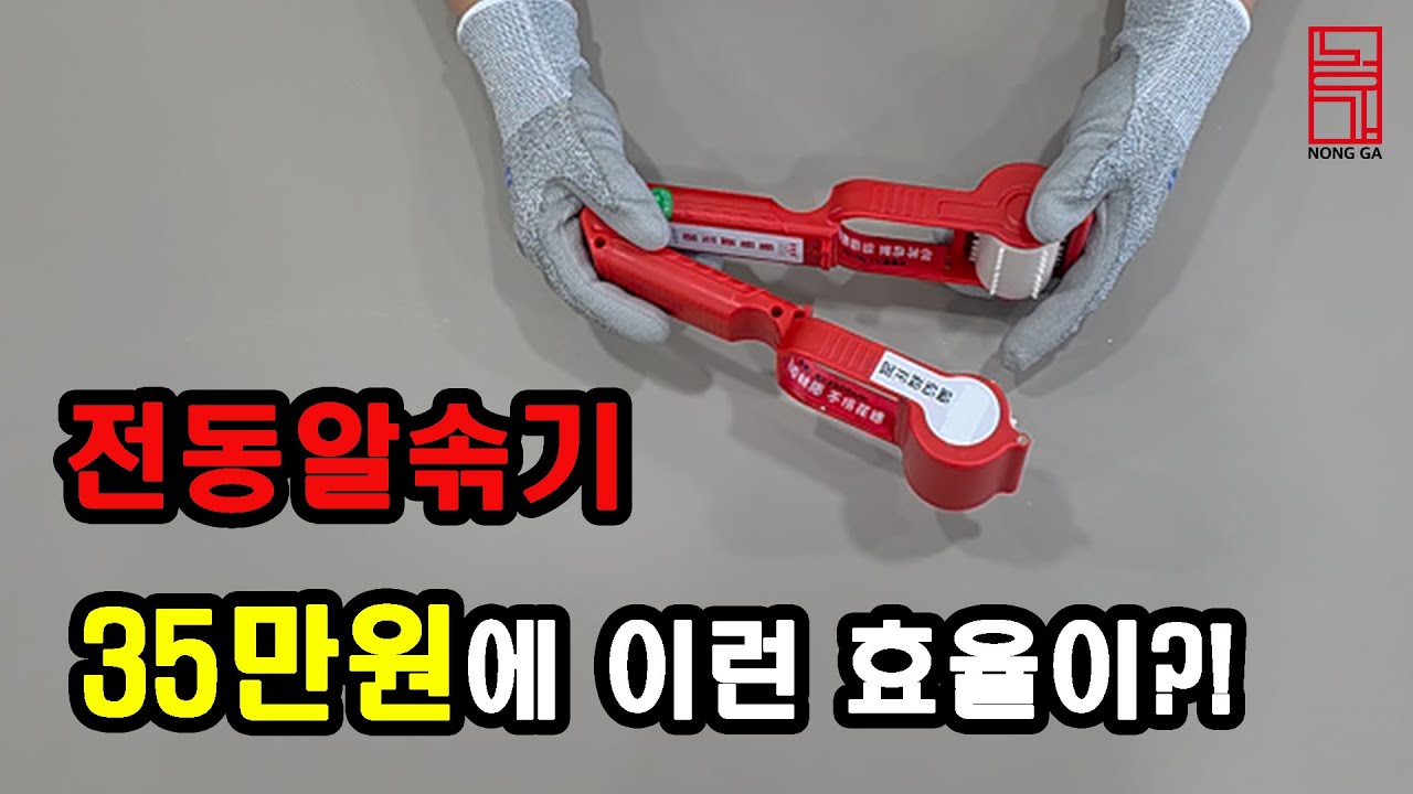 전동알솎기 추천ㅣ포도 열매솎기 포도 농사 꿀팁! 신기한 도구의 정체는?