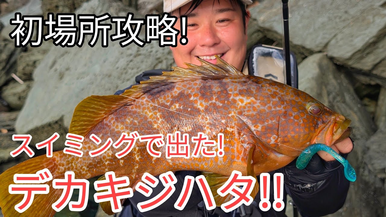 初場所で連発！デカキジハタ！！