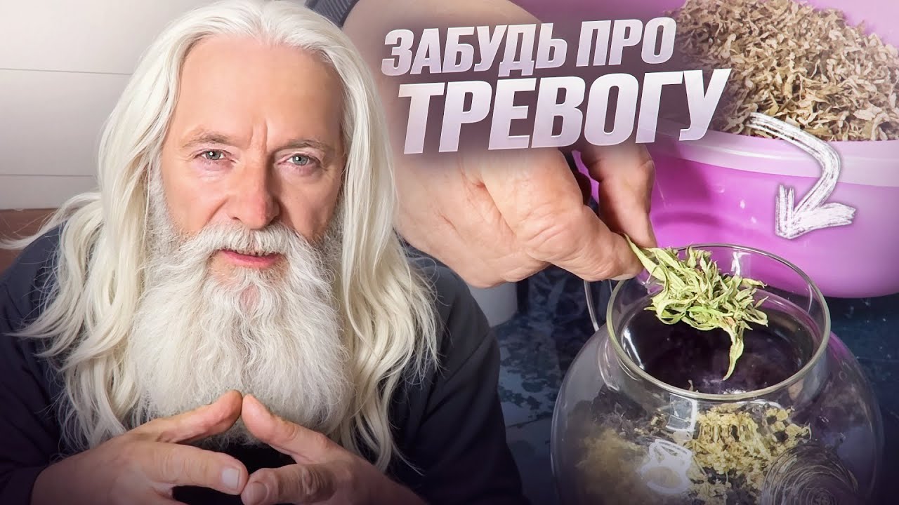 Вы забудете про тревожность: пейте ЧАЙ из ЭТОГО растения!