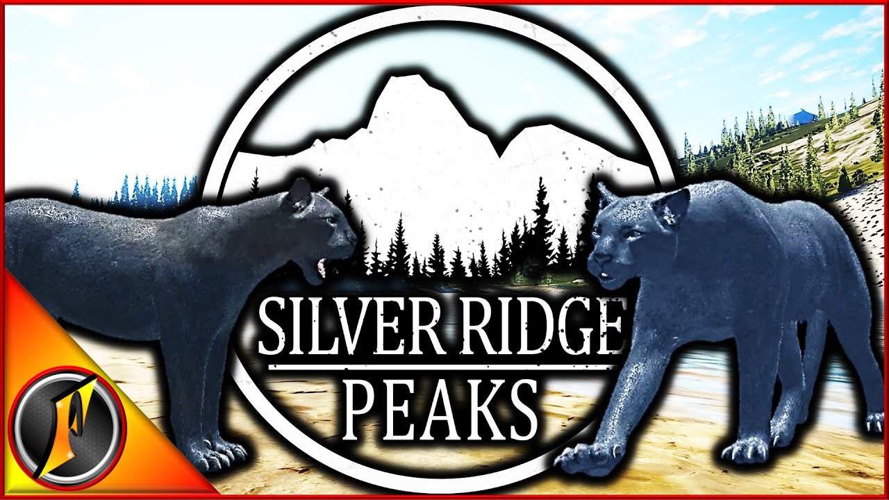 Seeing Double? 2 Melanistic Mountain Lions & More in Multiplayer!