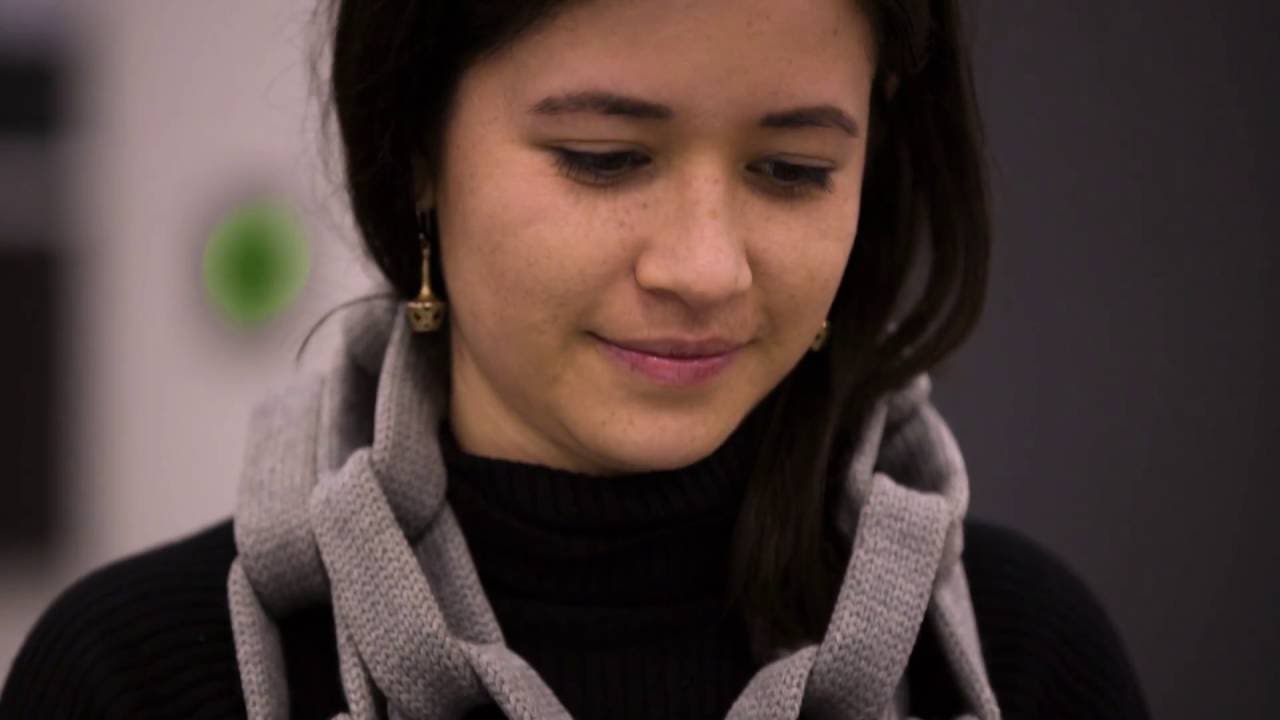 The Undergraduate Student Experience