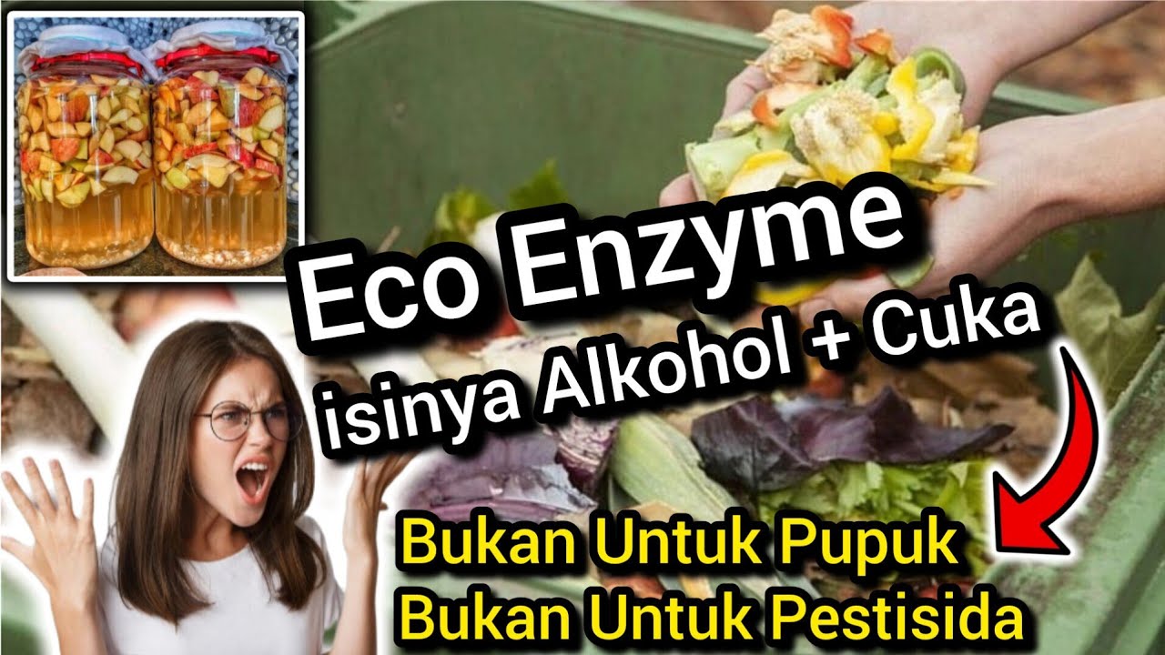 🔴 Penting‼️Eco Enzyme itu isinya Alkohol dan Cuka 💥 Eko Ensim itu Bukan Untuk Pupuk dan Pestisida ⛔