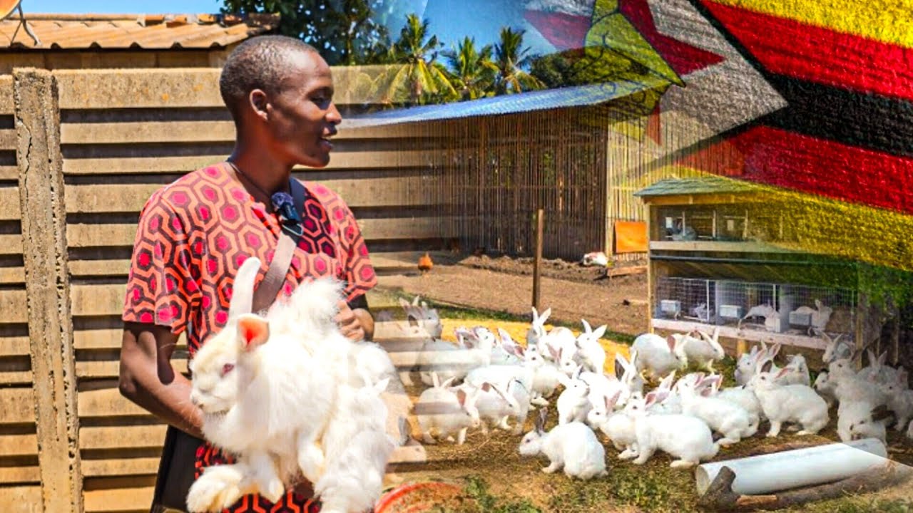 How to be a Successful Rabbit Farmer like this University Graduate