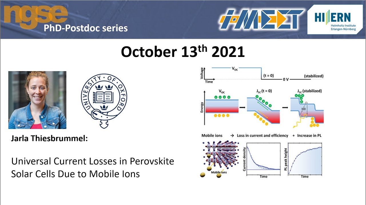 Jarla Thiesbrummel Universal Current Losses in Perovskite Solar Cells Due to Mobile Ions