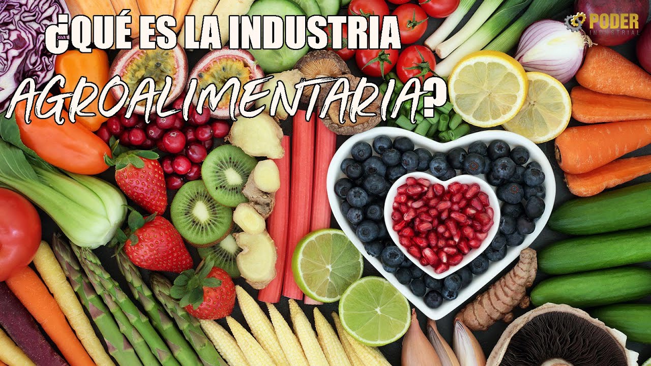 &iquest;Qu&eacute; es la Industria Agroalimentaria?