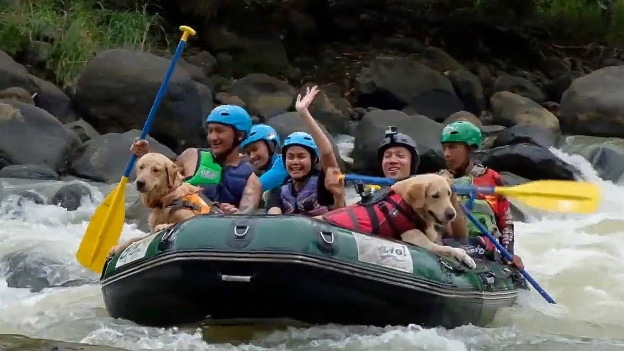 DOGVENTURE EPISODE 9 - GLAMPING @ BRAVO ADVENTURE