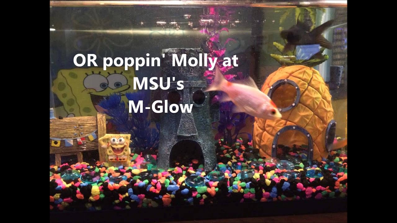 Blanton Hall Video spring inhall