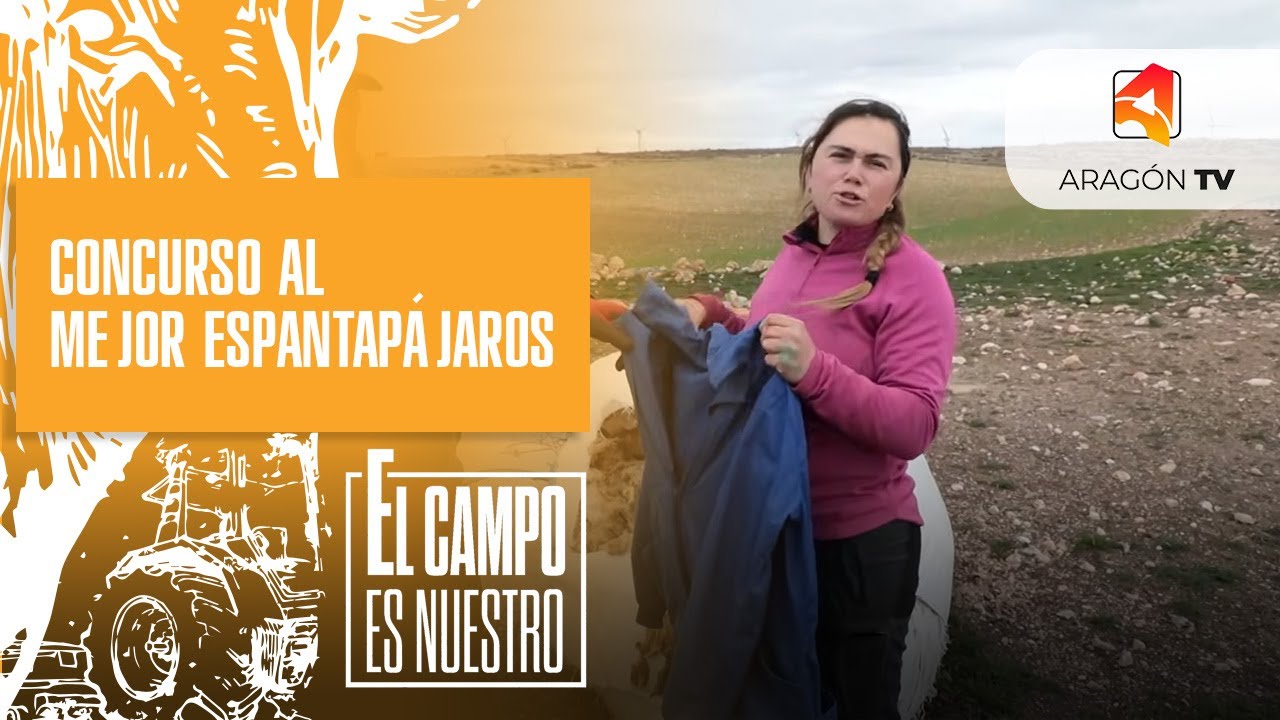 Concurso al mejor espantapájaros