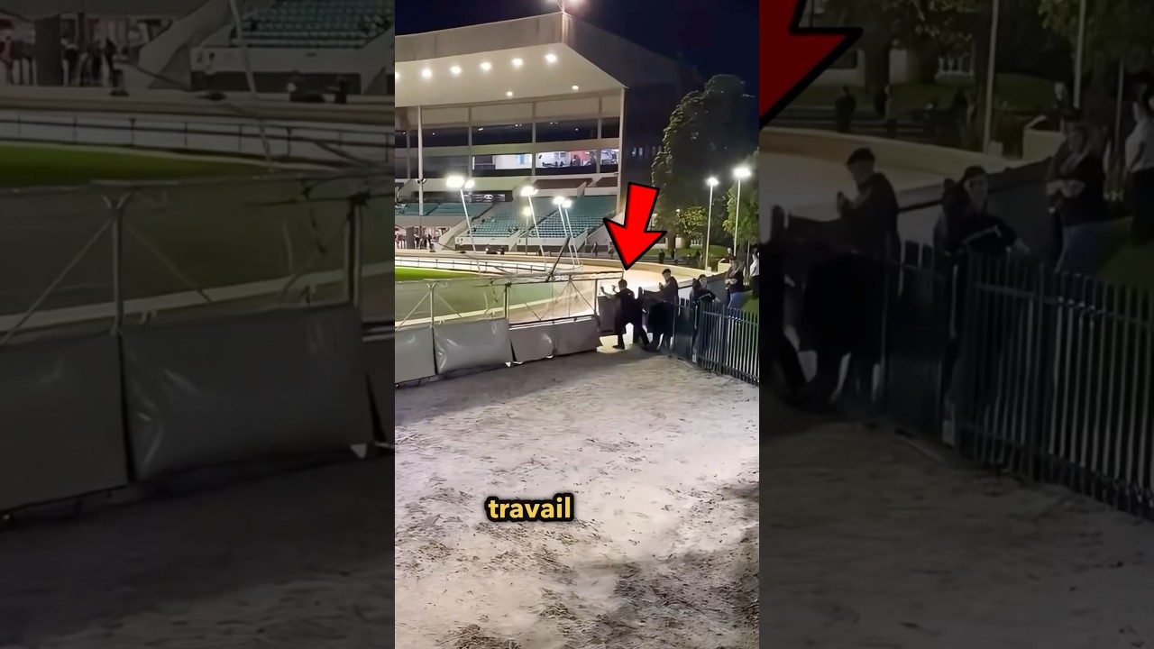 Comment Arr&ecirc;ter Une Course De L&eacute;vriers!