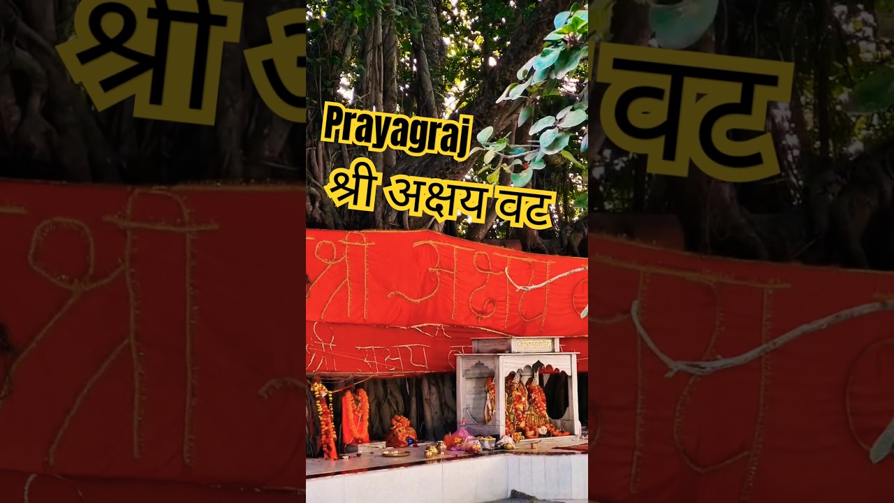 Prayagraj Shree Akshay Vat Darshan #shorts #prayagraj #mahakumbh
