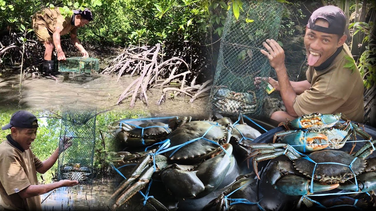 UNEXPECTED CATCH/ Dalawang malaking alimango Hindi nag alinlangan na pumasok sa trap | JACKPOT