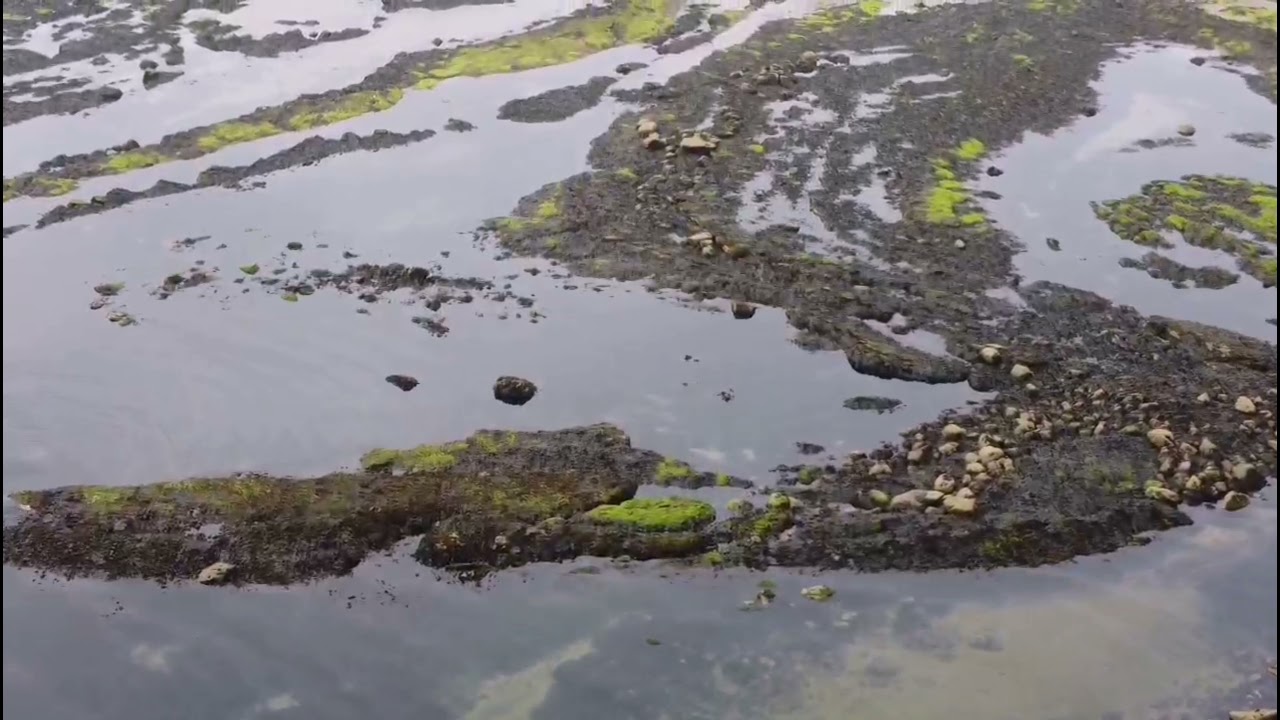 Berwick Holiday - Drone Flying at the beach.