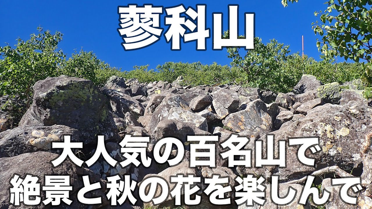 蓼科山 2025年8月18日 大人気の百名山で絶景と秋の花を楽しんで