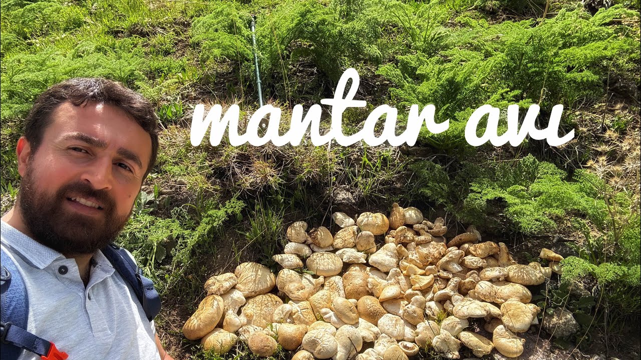 deffender ile zorlu yollar ve mantar maceramız...