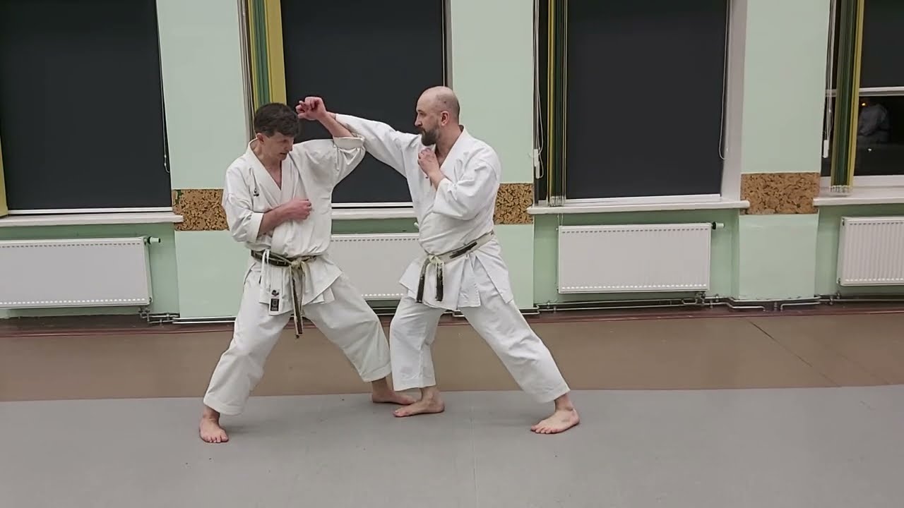 Hangetsu (半月) kata bunkai  - Uchi uke / Mikazuki geri / Tsuki