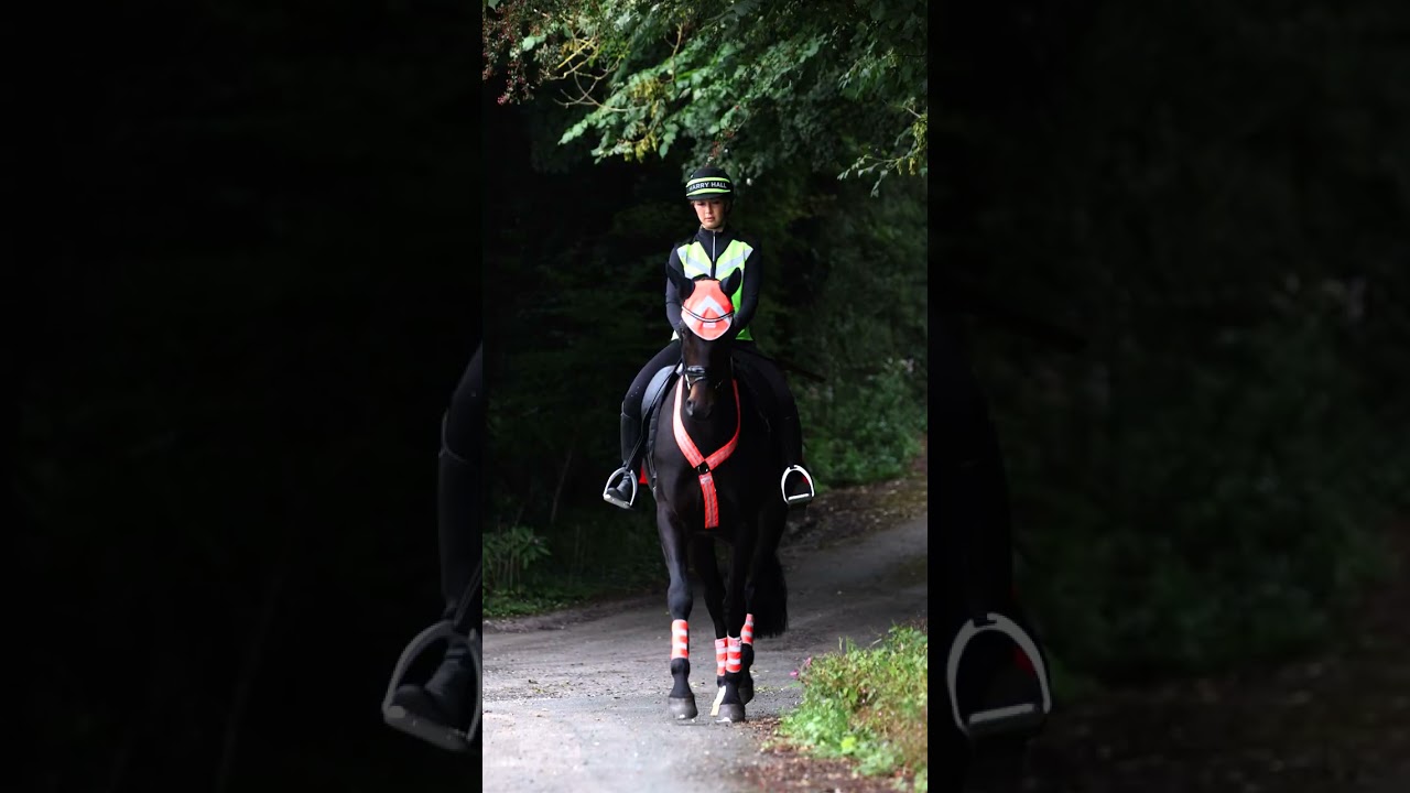 Harry Hall Hi Viz – Clothing/Accessories and Masta horse Hi Viz items