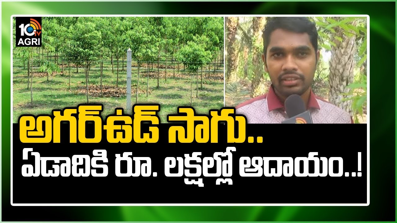 అగర్‌ఉడ్ సాగు.. ఏడాదికి రూ. లక్షల్లో ఆదాయం..! | Agarwood Cultivation  | Matti Manishi | 10TV