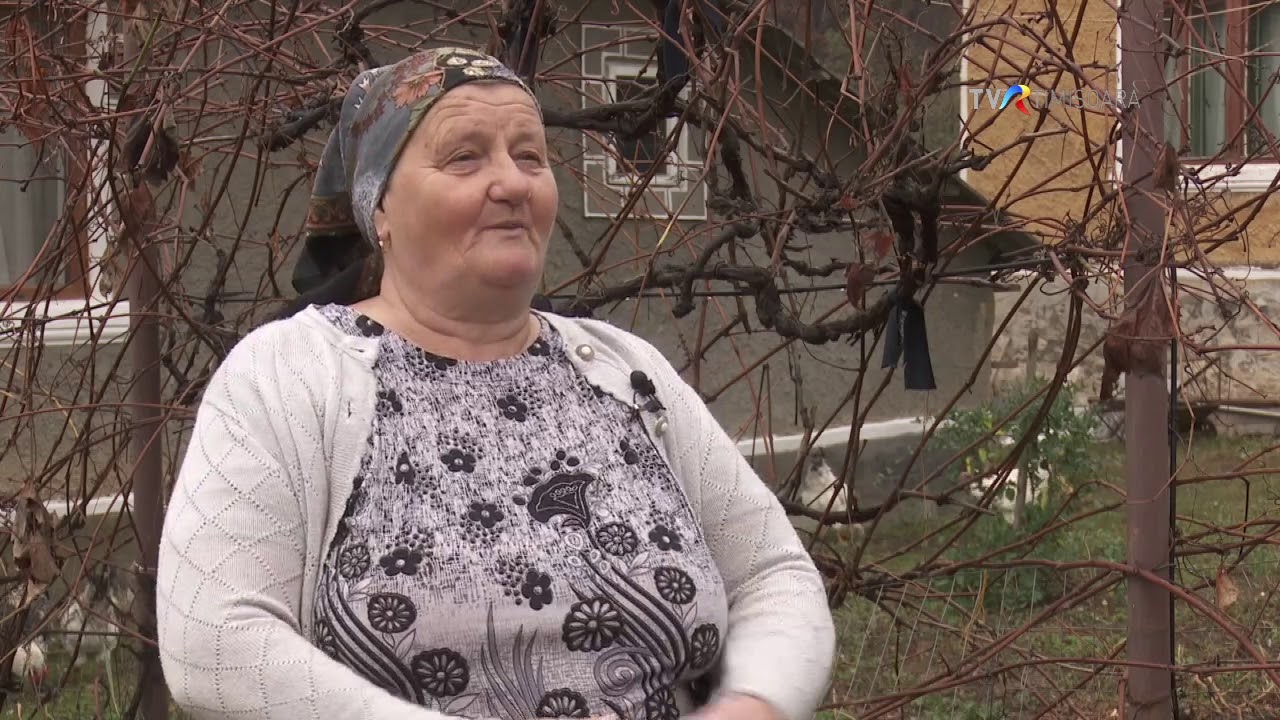 Cum să găsești o comoară și cum te ferești de blestemul pus pe ea #IstoriiAscunse @TVRTimisoara