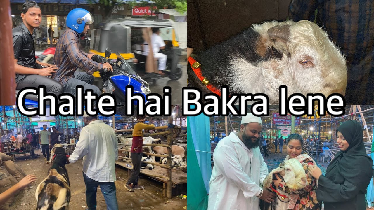 Chalte hai Bakra lene | Mira Road Bakra Mandi Vlog| Glam Up Girls |