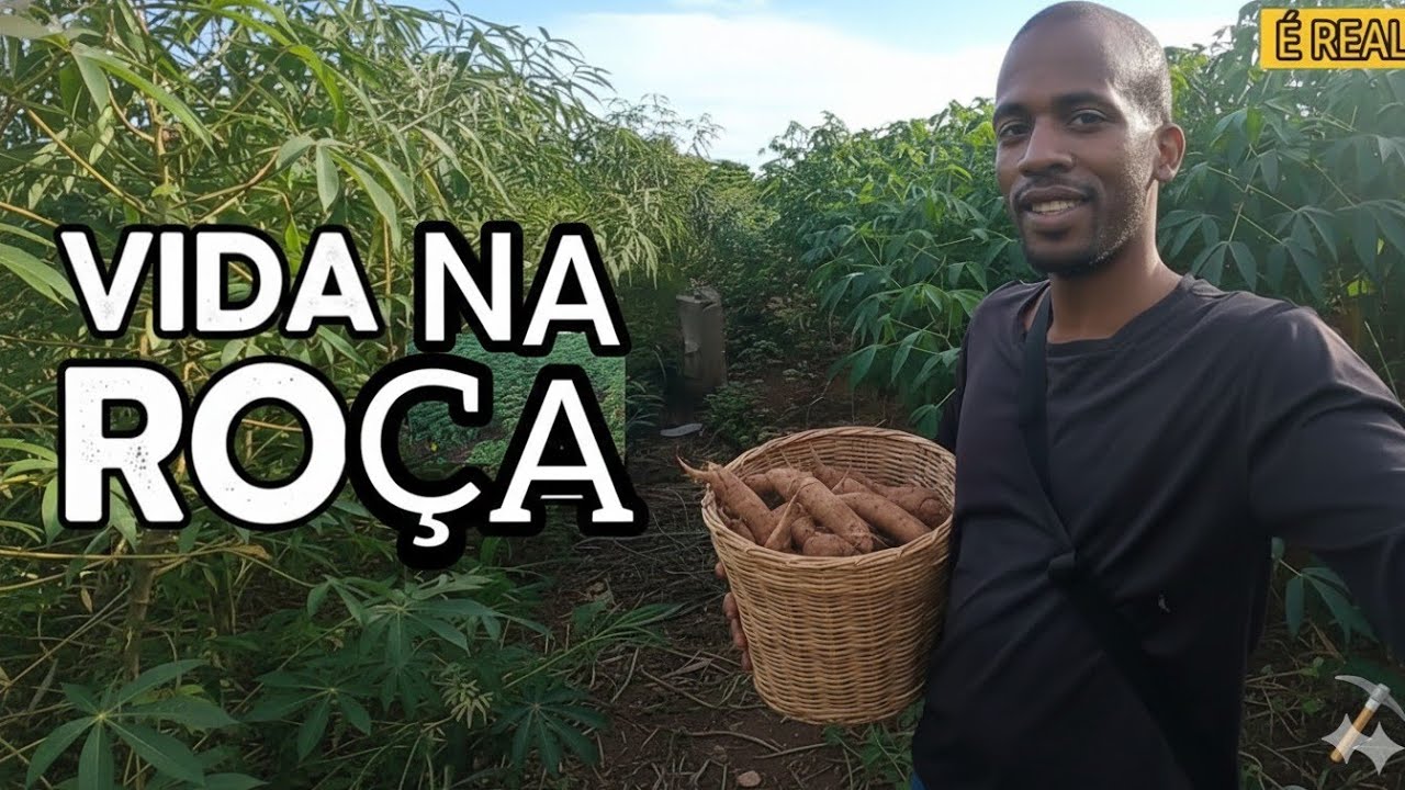 Um dia comigo na roça: Plantando esperança e colhendo paz