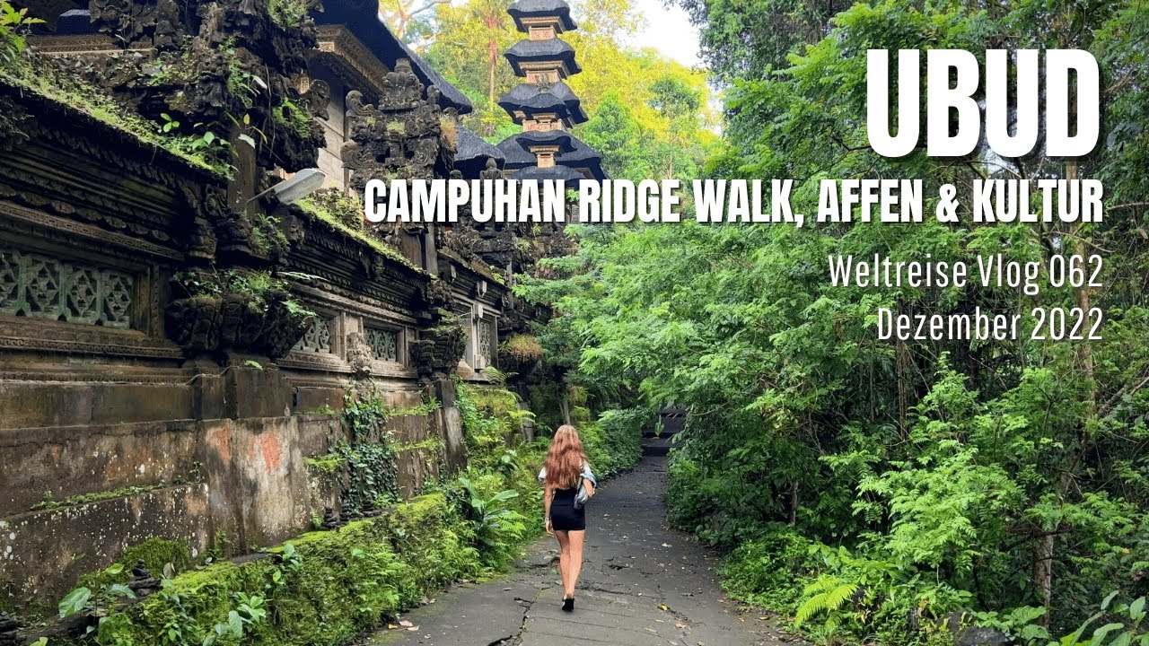Ubud - Campuhan Ridge Walk, Affen & Kultur | Bali, Indonesien • Weltreise Vlog 062