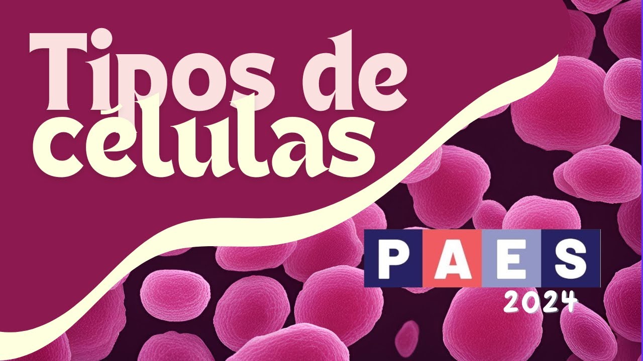 PARTE 3: TIPOS DE CÉLULAS
