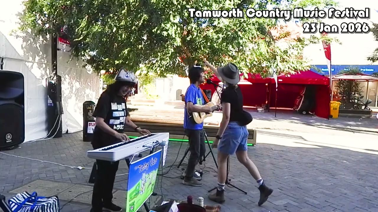 Tabby Cats Blues (Original Song)
