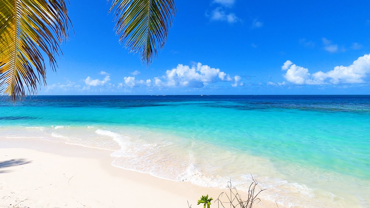 Made in The Shade: Tropical Beach Ambience For Meditation & Stress Relief