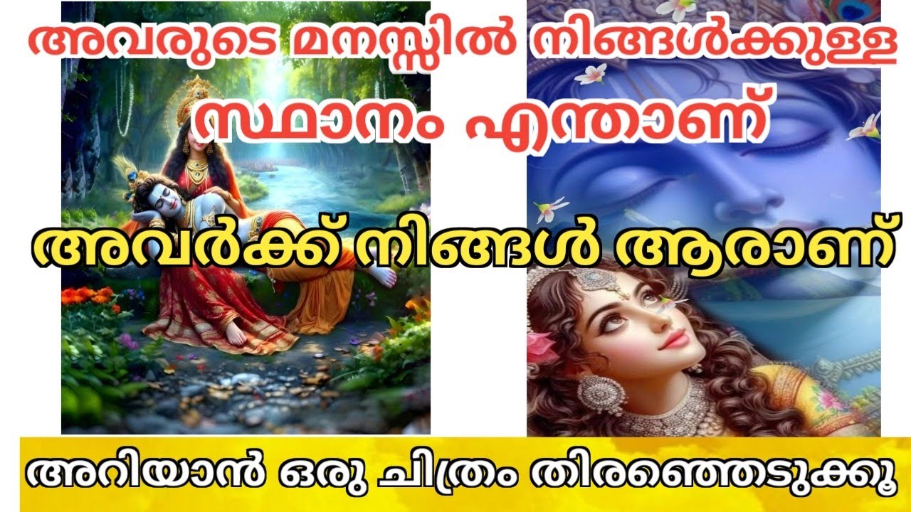 അവർക്ക് നിങ്ങൾ ആരാണ്!Love Reading!Relationship Reading 💕💕💕