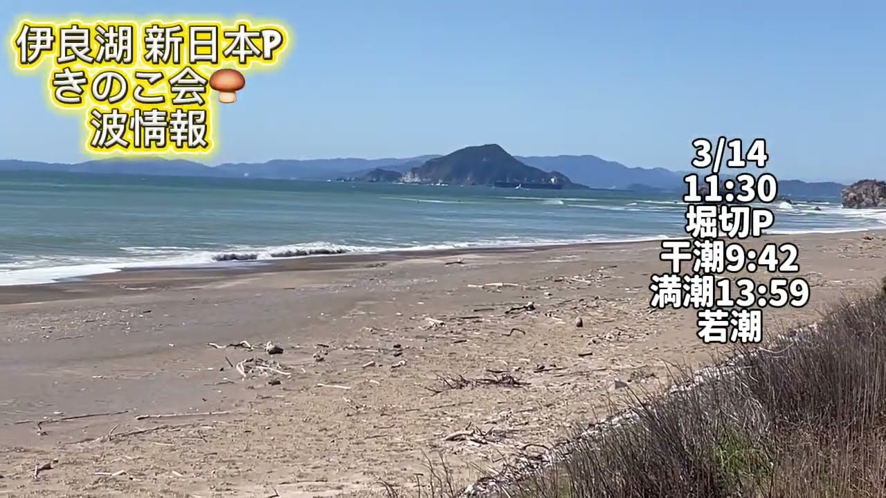 3/14 11:30 堀切P【伊良湖波情報】2026年