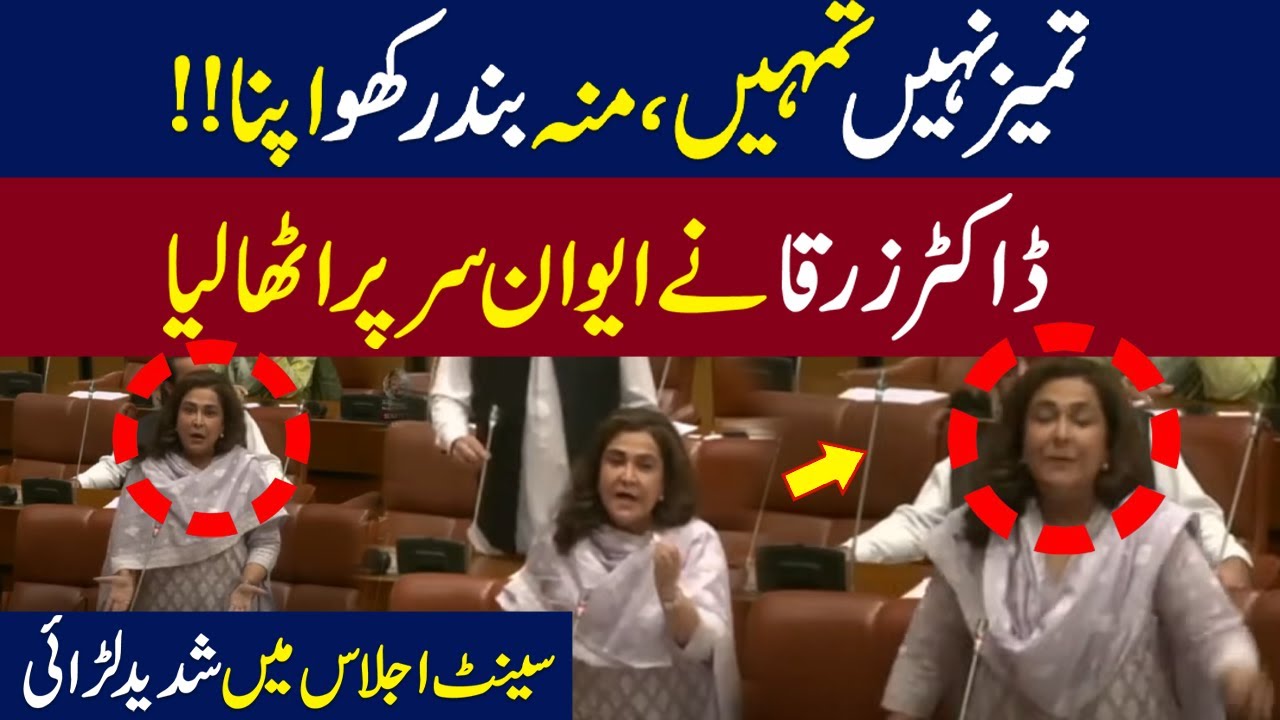 Dr Zarqa Got Angry In Senate Session |Fiery Speech| WE News