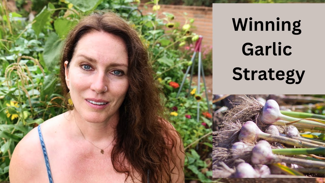 Вырастите удивительный чеснок в Аризоне