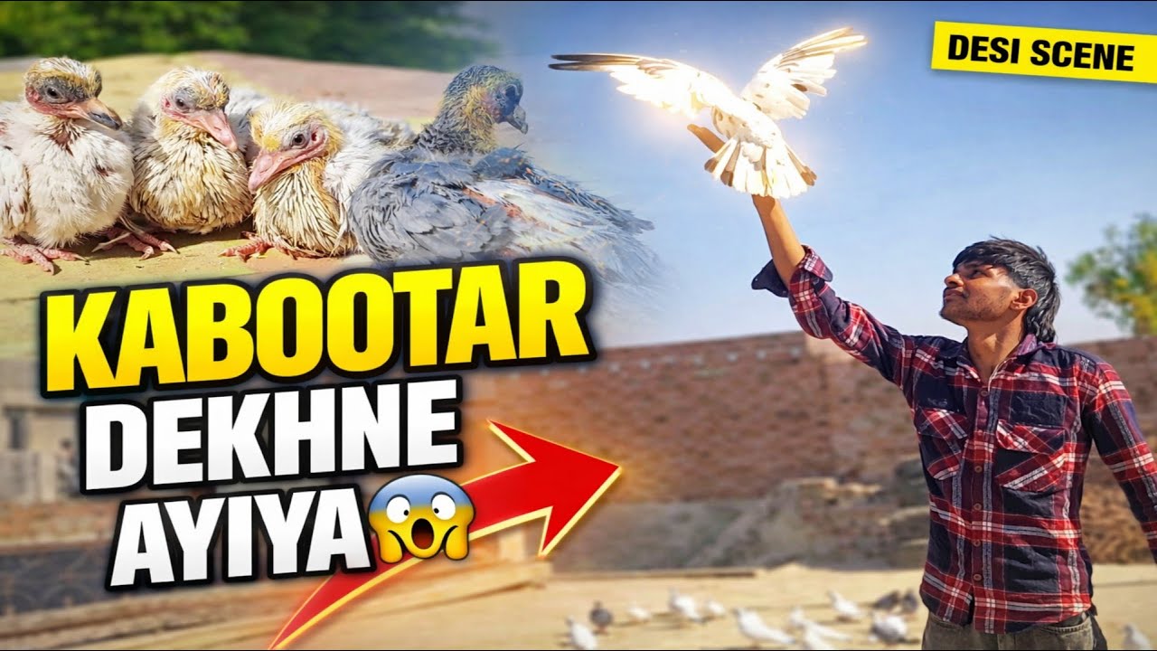 👉 Kabootar Dekhne Ayiya 😱 | Aaj Pehli Baar Aisa Dekha | Desi Vlog