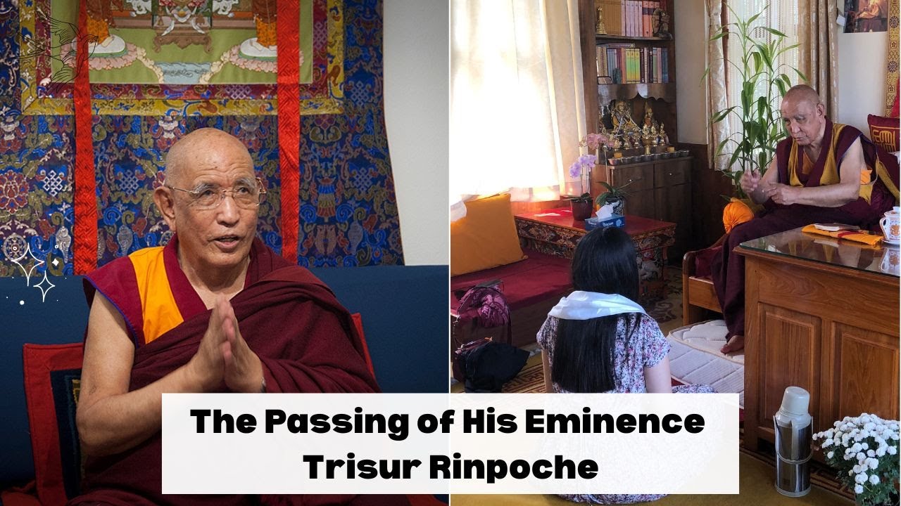 Working in the Silence After His Eminence Trisur Rinpoche’s Passing | A Personal Reflection