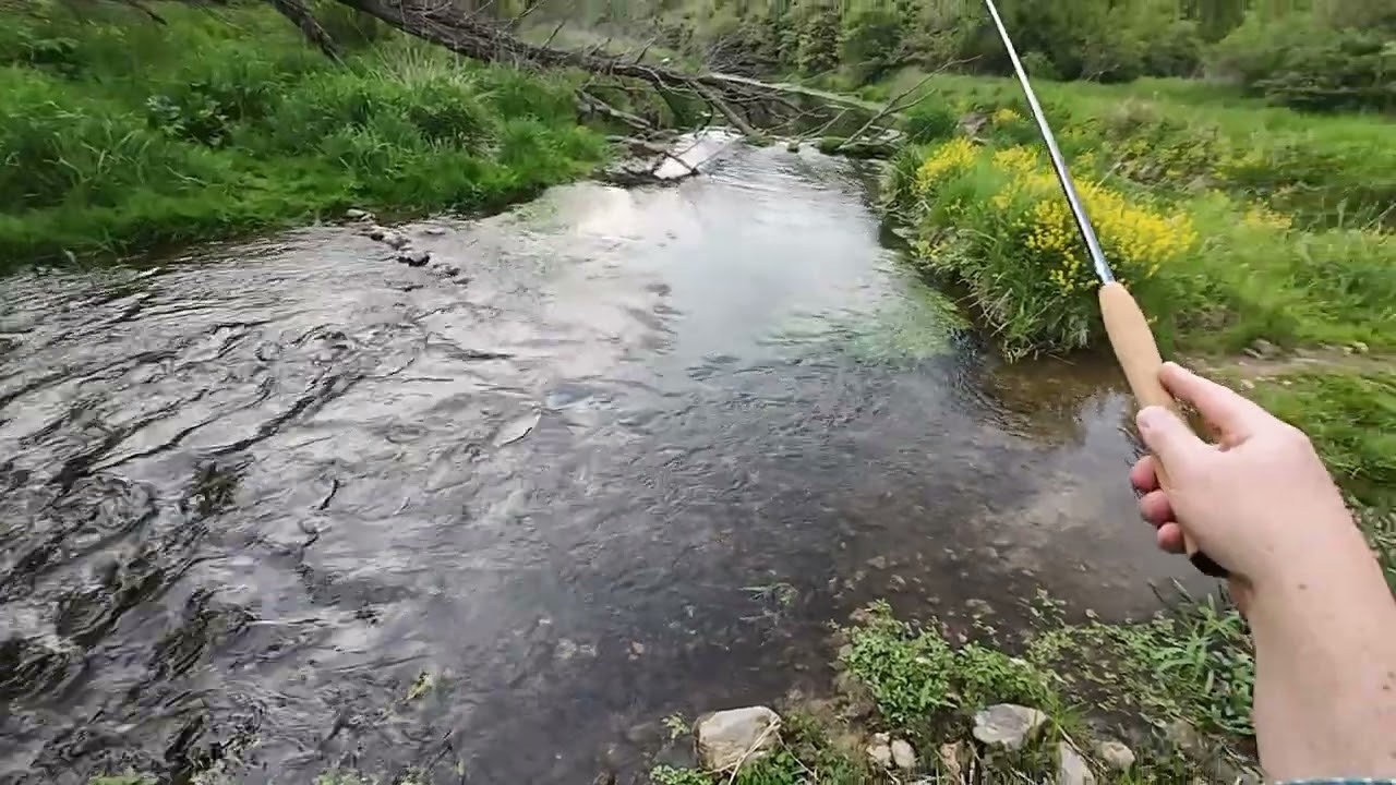 Day 1 Iowa Tenkara Fishing with the Kokoro 360 Rod (prototype Falcon rod)