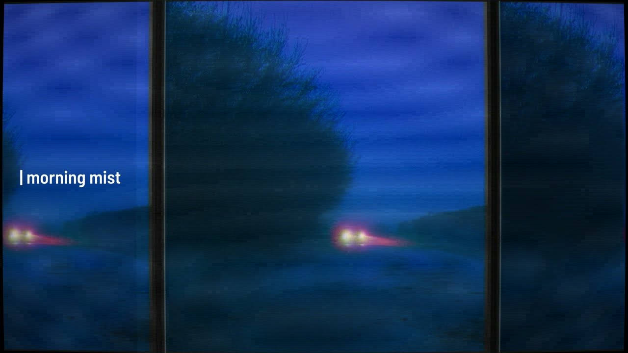 piedkies - morning mist