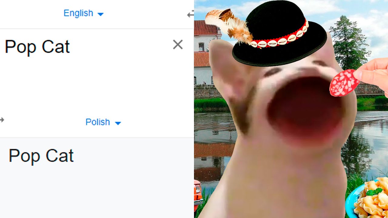 Pop Cat in different languages meme (Part 2)