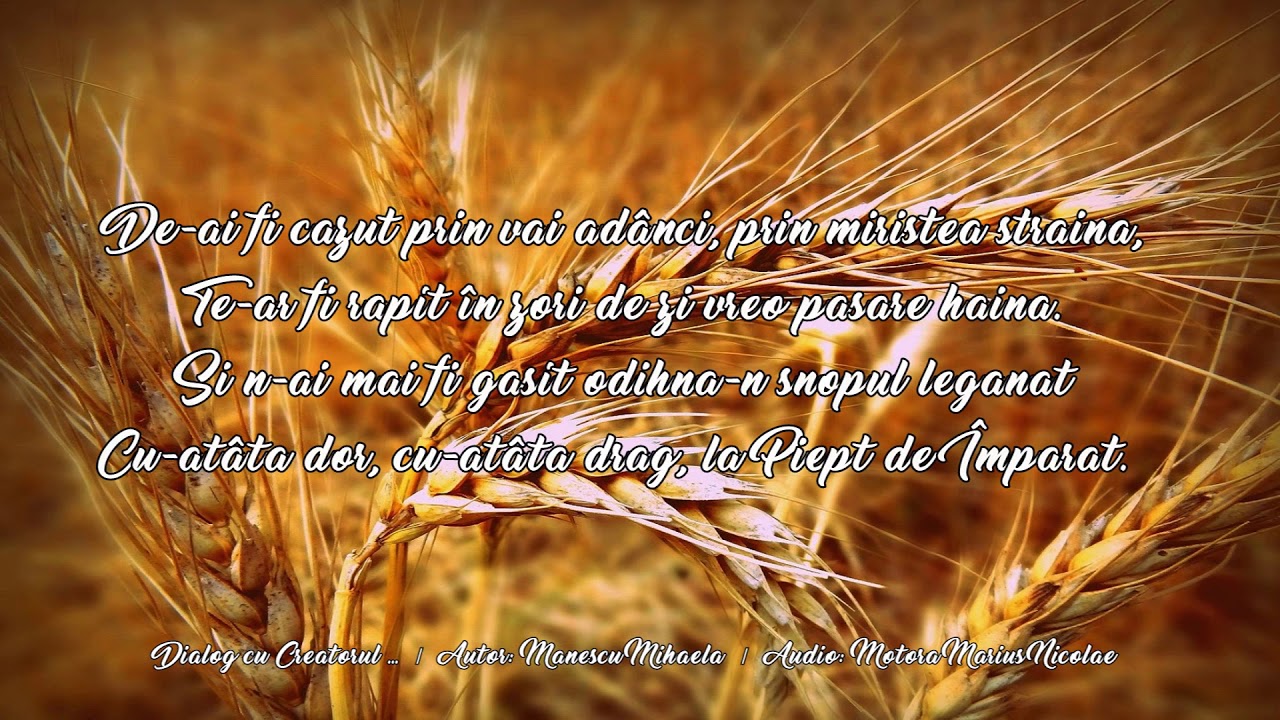 Dialog cu Creatorul