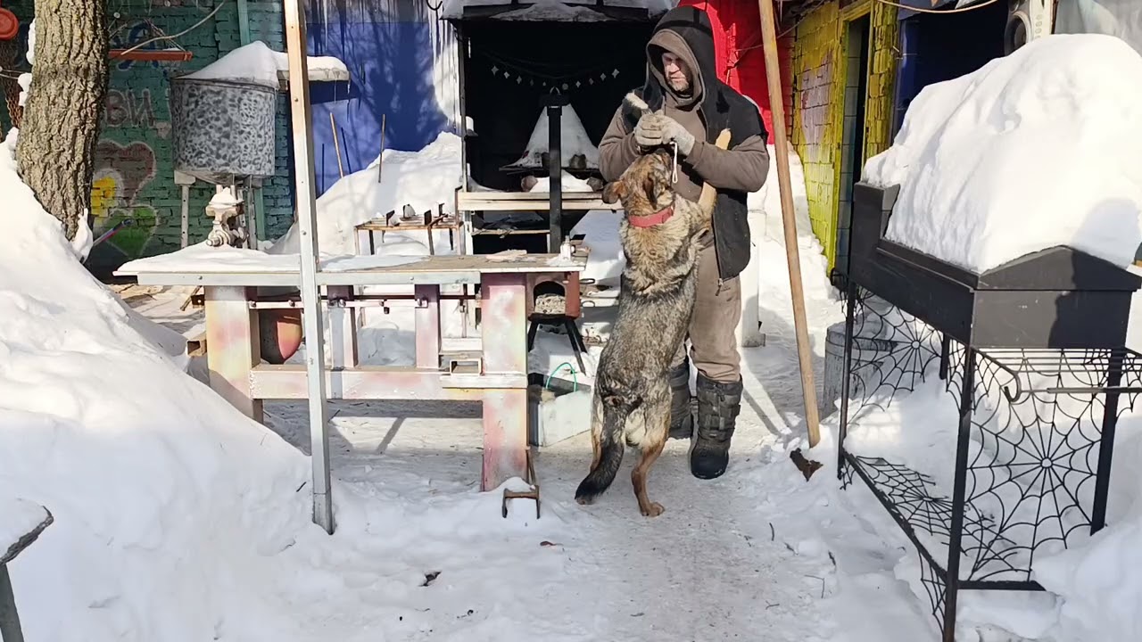 Немного в краце о происходящем в мастерской чертога тихой реки🔥😁