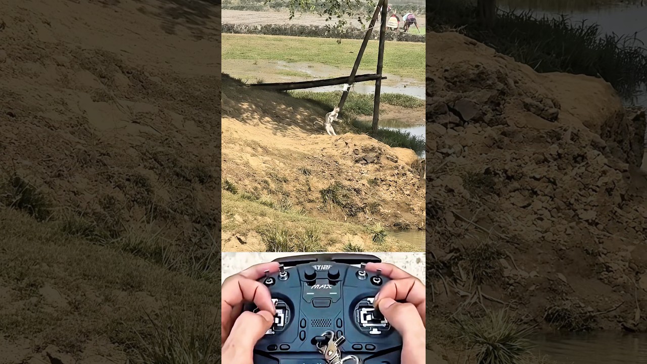 Drone Prank With Cat 🤣 || Villagers Freak Out 😱 || 