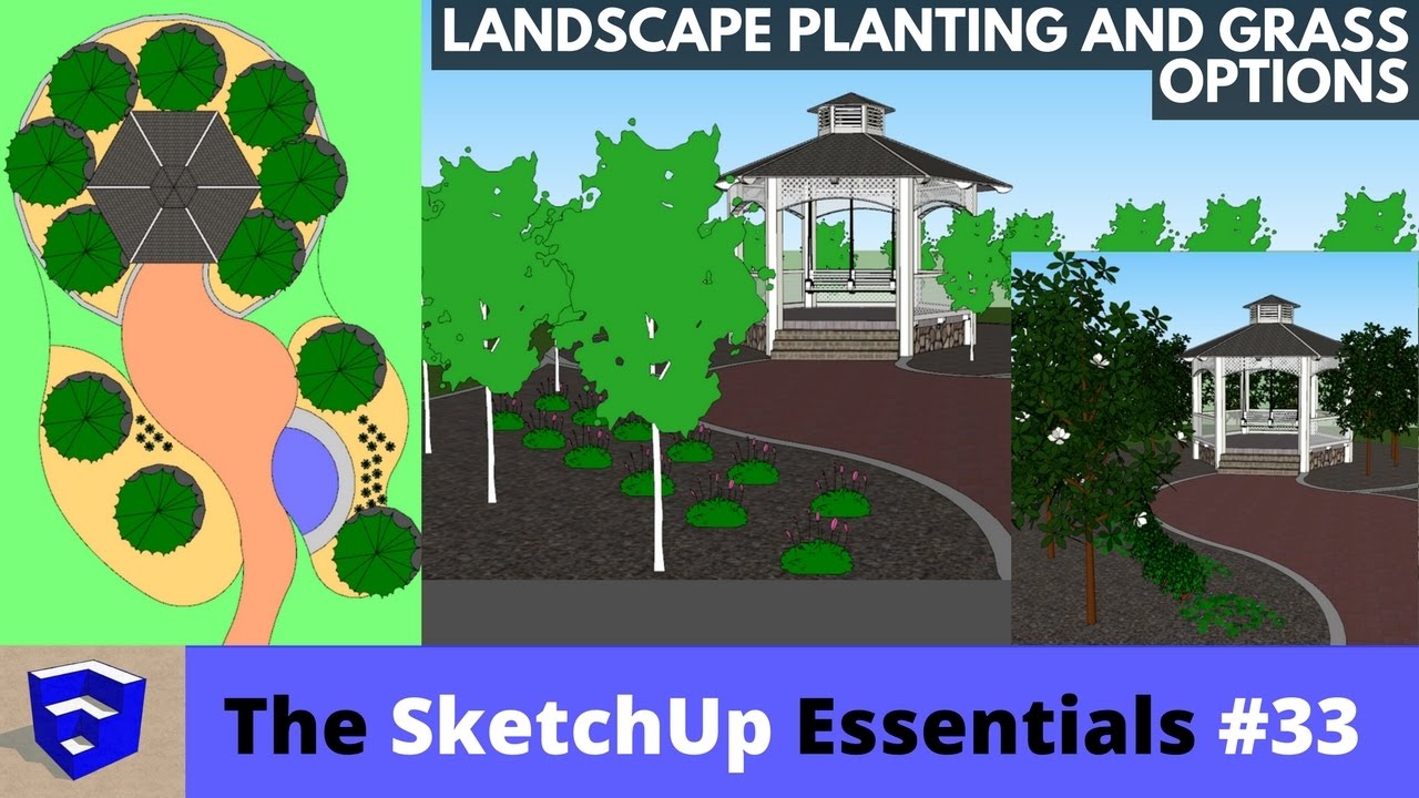 Landscape and Planting Options in SketchUp - The SketchUp Essentials #33
