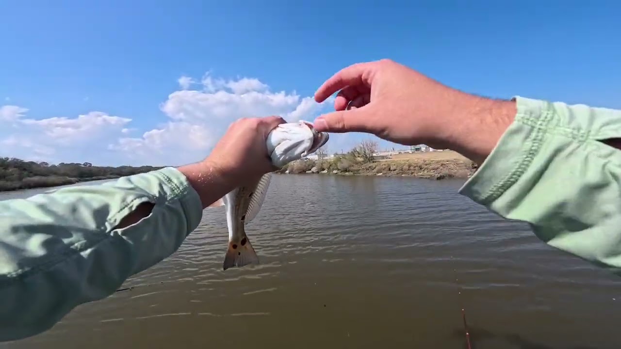 New kayak trailer mod and short trip to the bayou catching a few speckled trout and redfish!