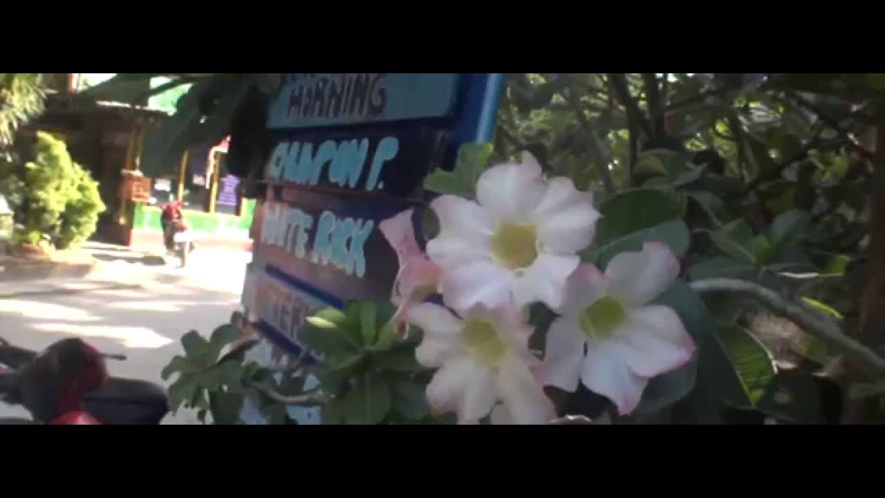 PADI diving course Koh tao Thayland