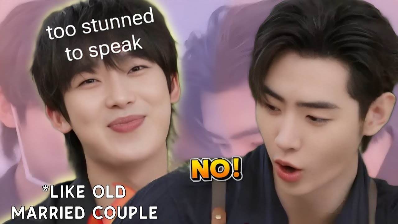 sunoo and sunghoon acting like an old married couple |pt.4