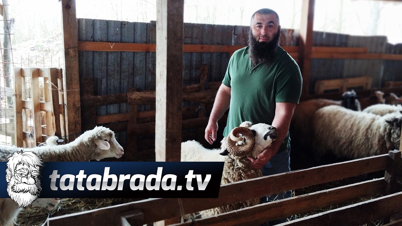 Kuća, štala, klaonica - sve zarađeno od ovaca!