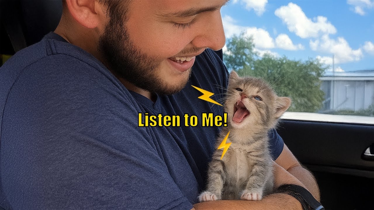 When Your Cat Starts Talking Back Like a Human! 😹🎤