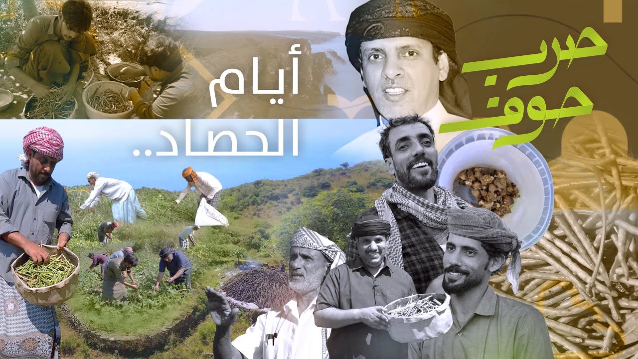 صرب حوف الحلقة الأخيرة | أيام الحصاد