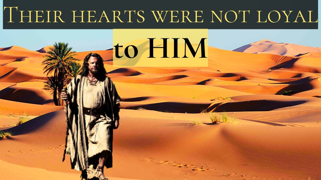 Psalm 78 | Part 2 | God rained Manna for the People to eat
