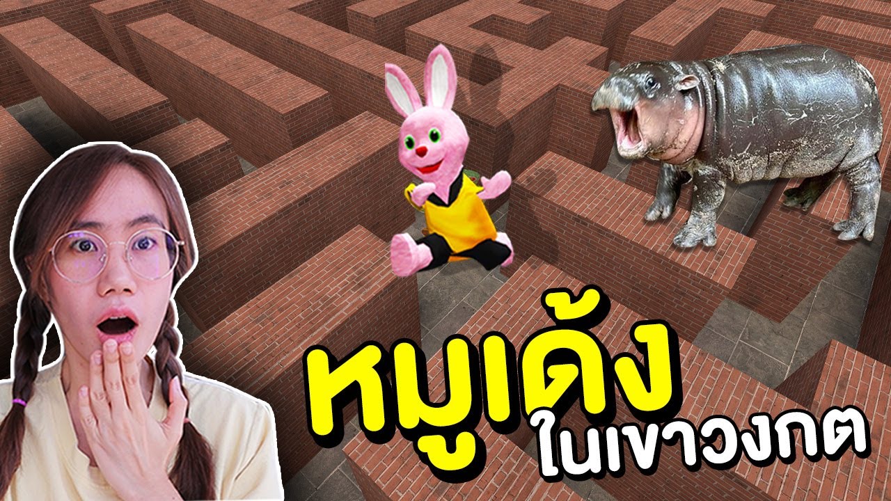 บันนี่กับหมูเด้งในเขาวงกต Moodeng Baby Hippo | Mind&Nat