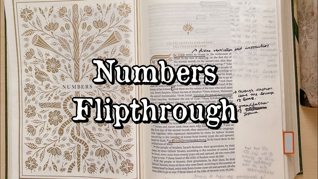 Bible Journaling Flip Through: Numbers (in the ESV Illuminated Journaling Bible)